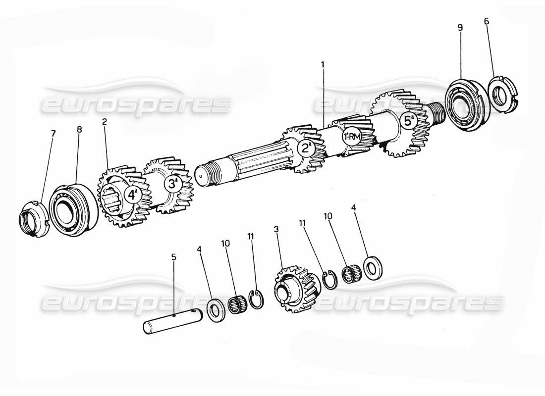 Ferrari 365 GTC4 (Mechanical) Primary Gears Parts Diagram