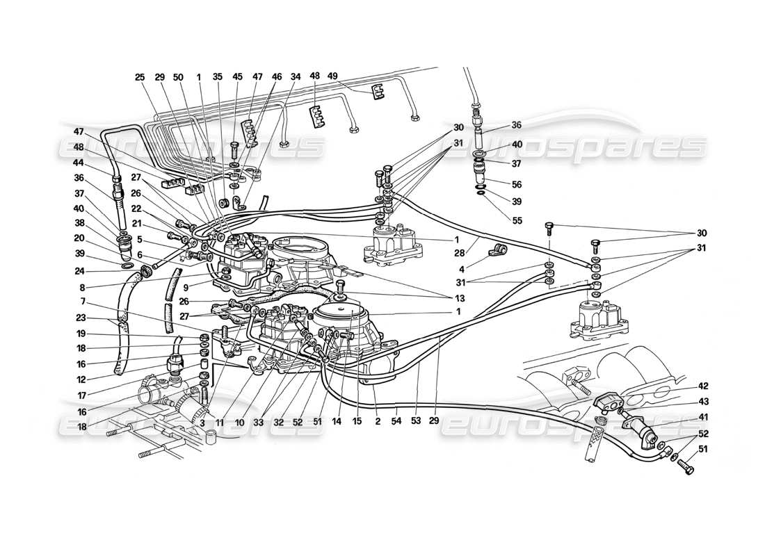 Ferrari Testarossa (1987) Fuel Distributors Lines (K-Jetronic System) Parts Diagram