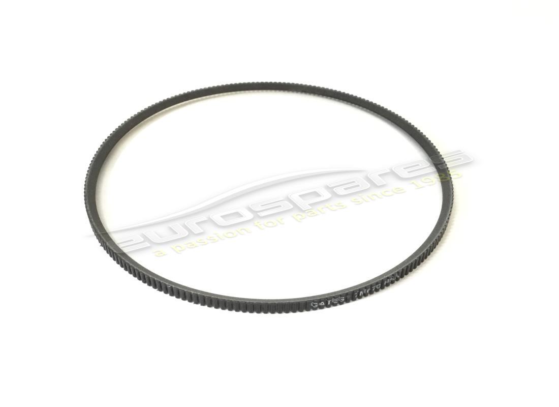 NEW Ferrari POLYFLEX BELT. PART NUMBER 111285 (1)