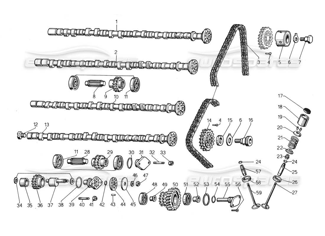 lamborghini countach 5000 qv (1985) distribution part diagram