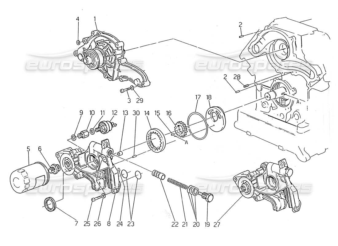 maserati 2.24v water pump - oil pump part diagram