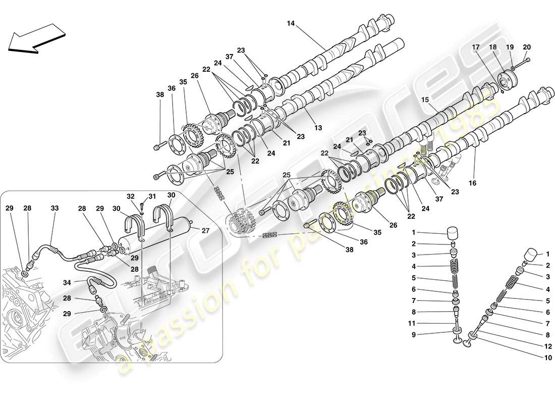 ferrari f430 coupe (rhd) timing system - tappets parts diagram