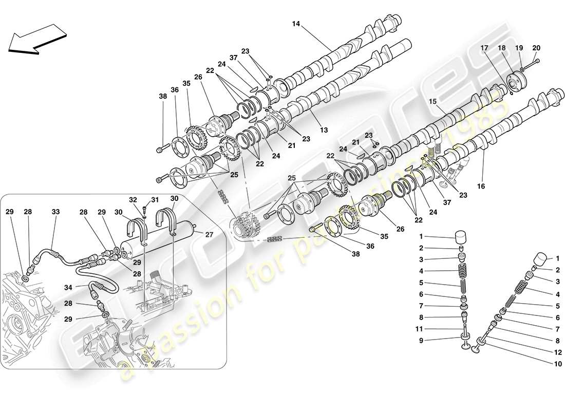 ferrari f430 coupe (usa) timing system - tappets part diagram