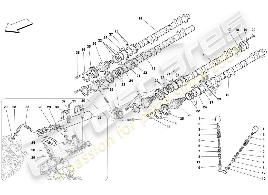 ferrari f430 scuderia spider 16m (europe) timing system - tappets parts diagram
