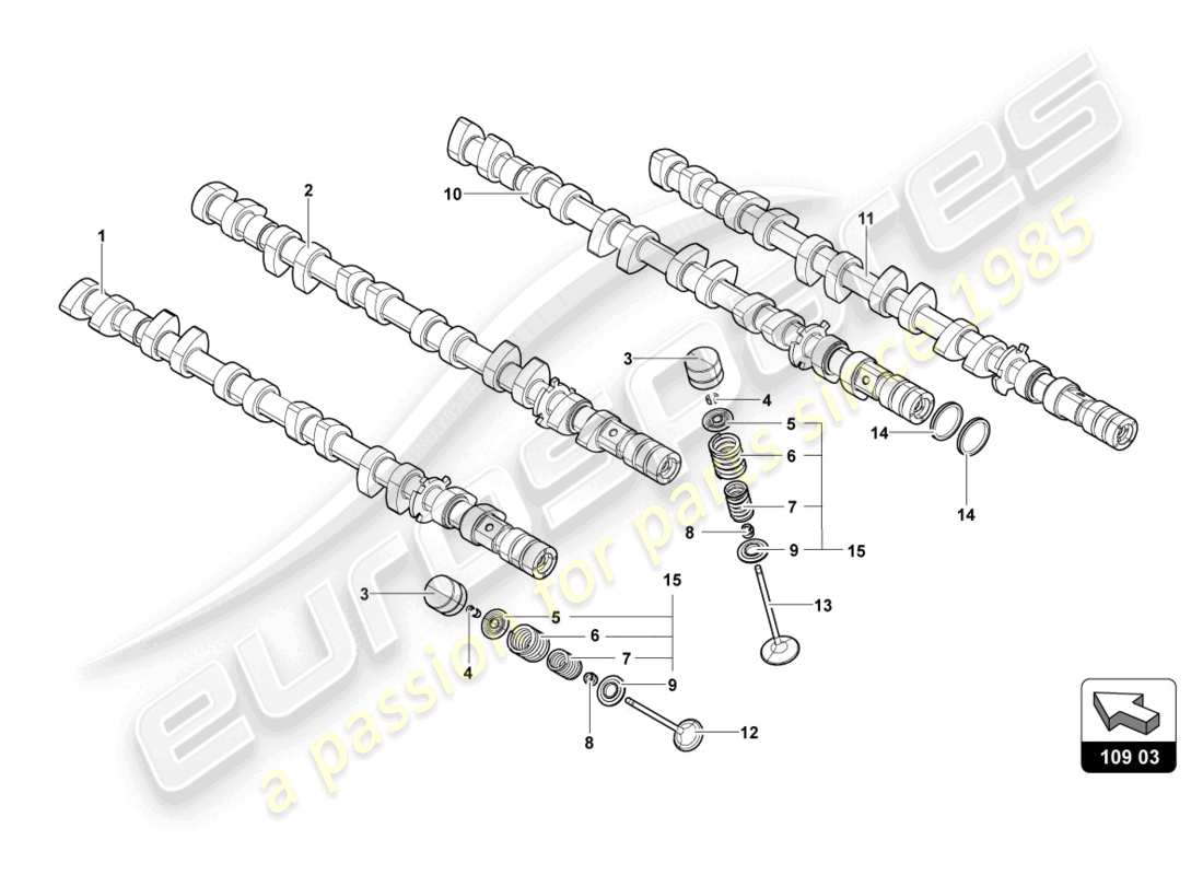 lamborghini lp770-4 svj coupe (2022) camshaft, valves parts diagram