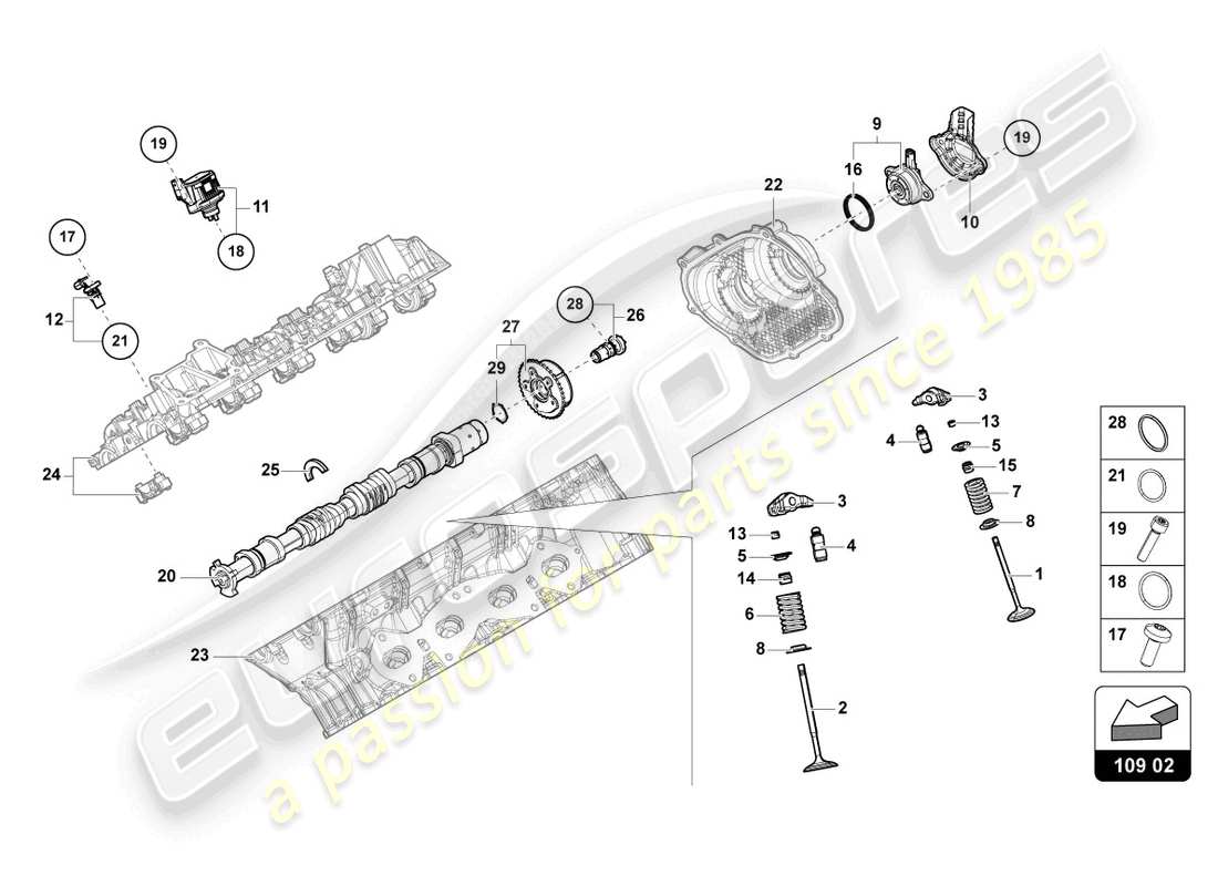 lamborghini urus (2019) camshaft, valves parts diagram