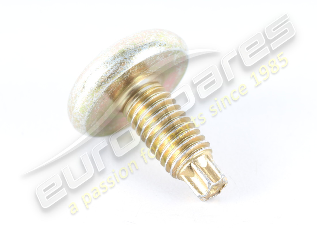 NEW Lamborghini SCREW . PART NUMBER 8H0845643 (1)