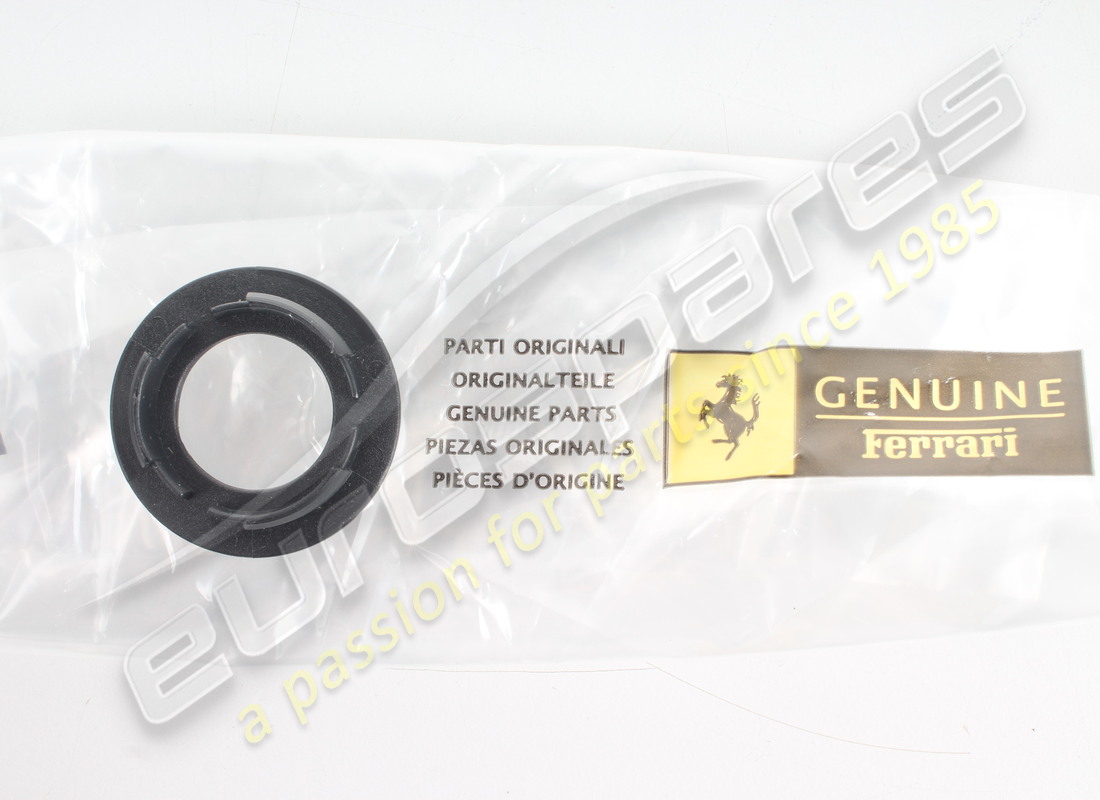 new ferrari moulding. part number 68917600 (3)