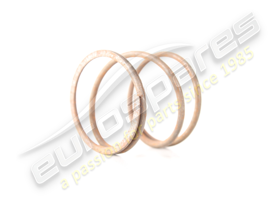 new lamborghini cartridge filter spring. part number 001500925 (2)