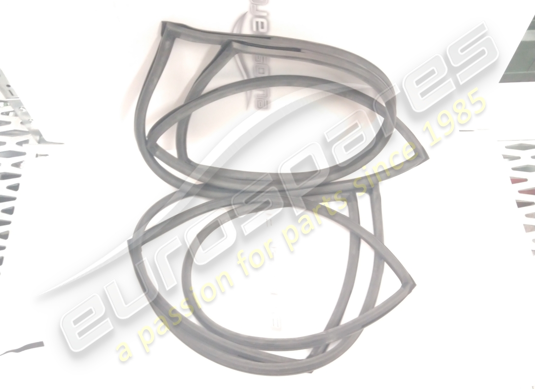 new eurospares rh/lh opening door rubber seals (must be mounted with the original frame that holds them). part number 14300162 (2)
