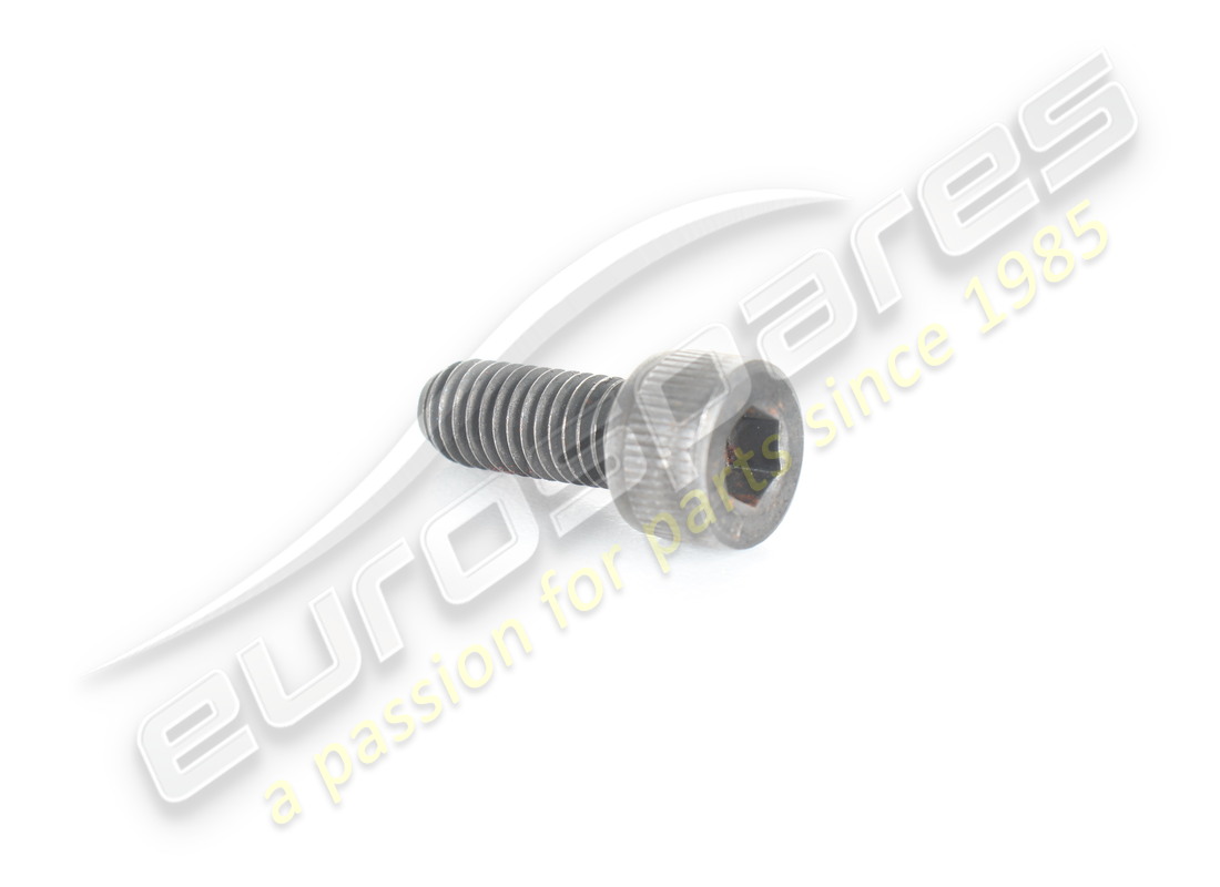 new ferrari screw. part number 67347600 (1)