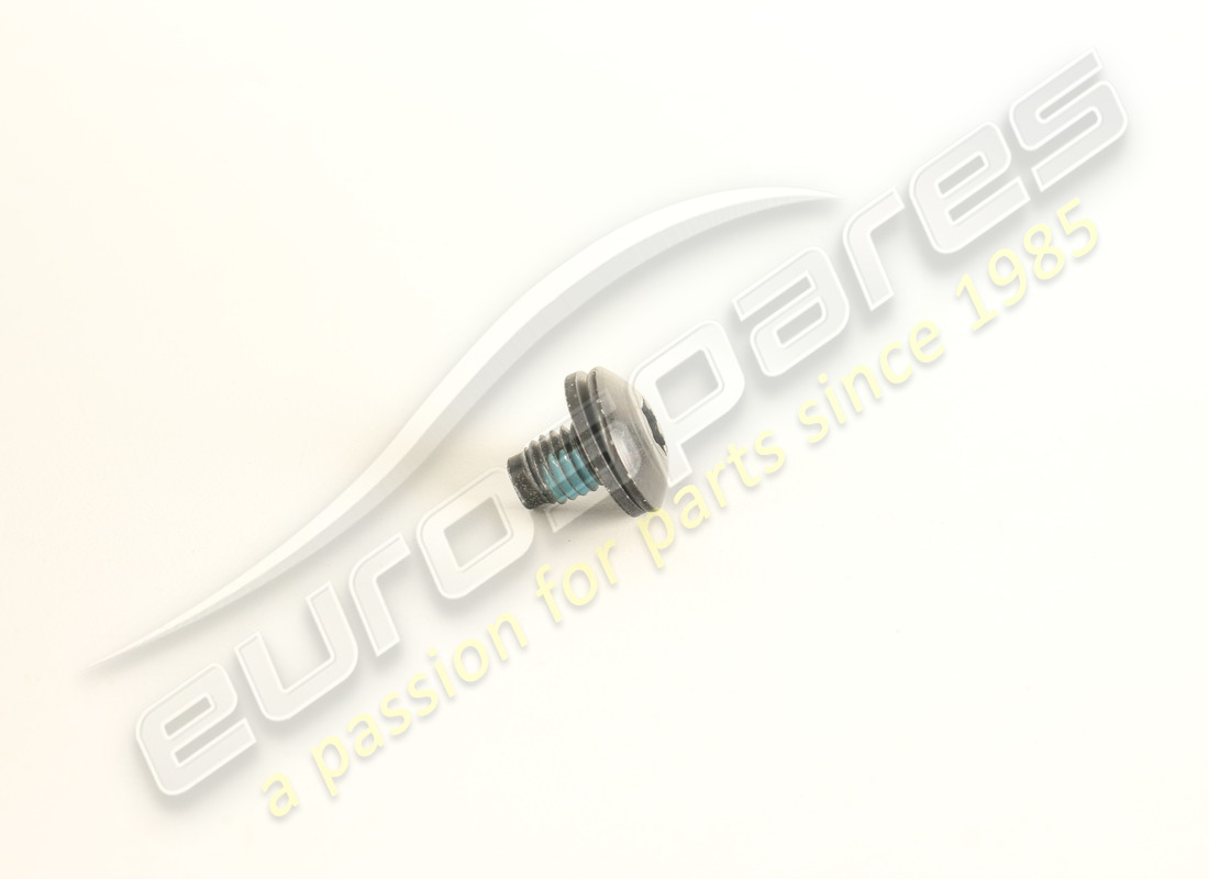 new ferrari screw. part number 67077900 (1)