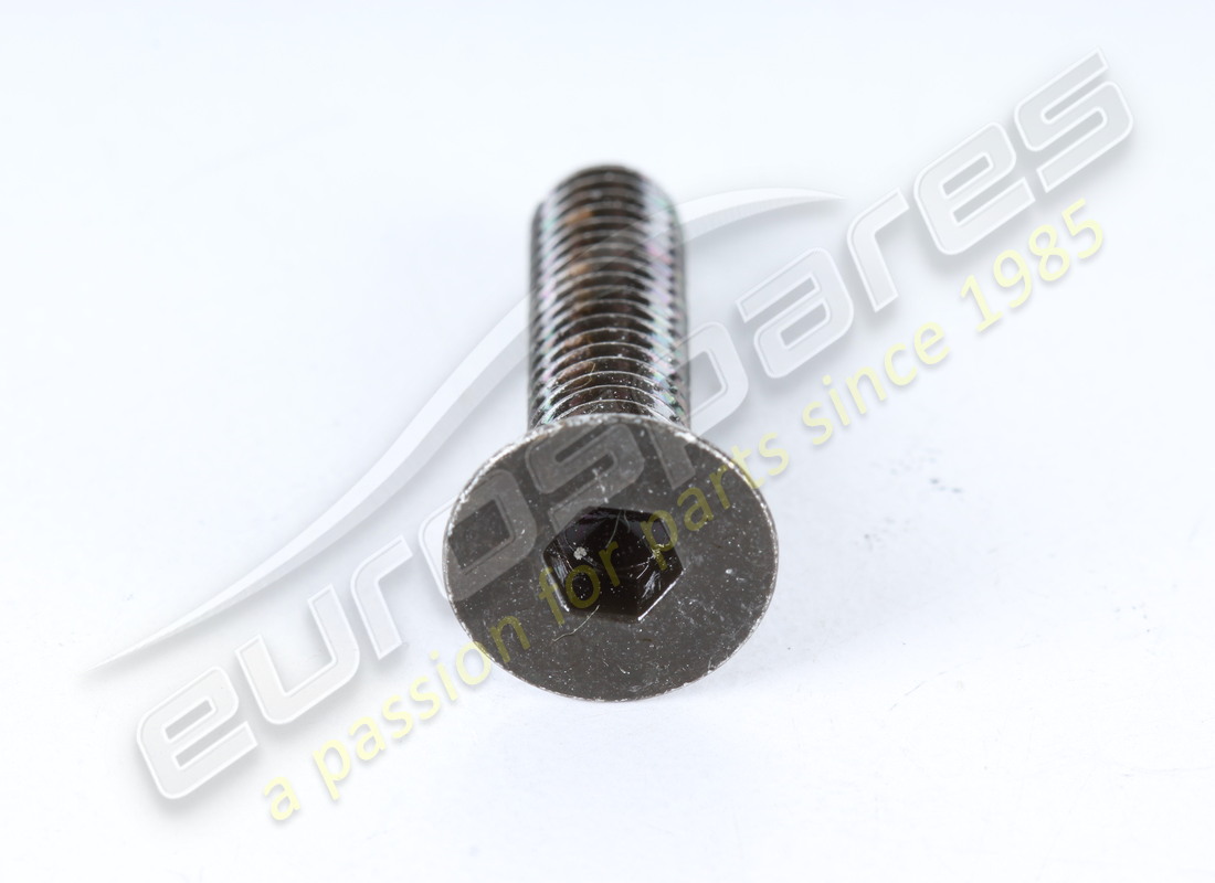 NEW MASERATI WHITE. PART NUMBER 67420200 (2) new maserati white. part number 67420200 (2)