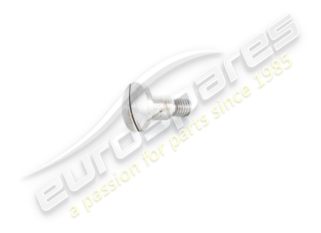 new ferrari screw. part number 60273901 (1)