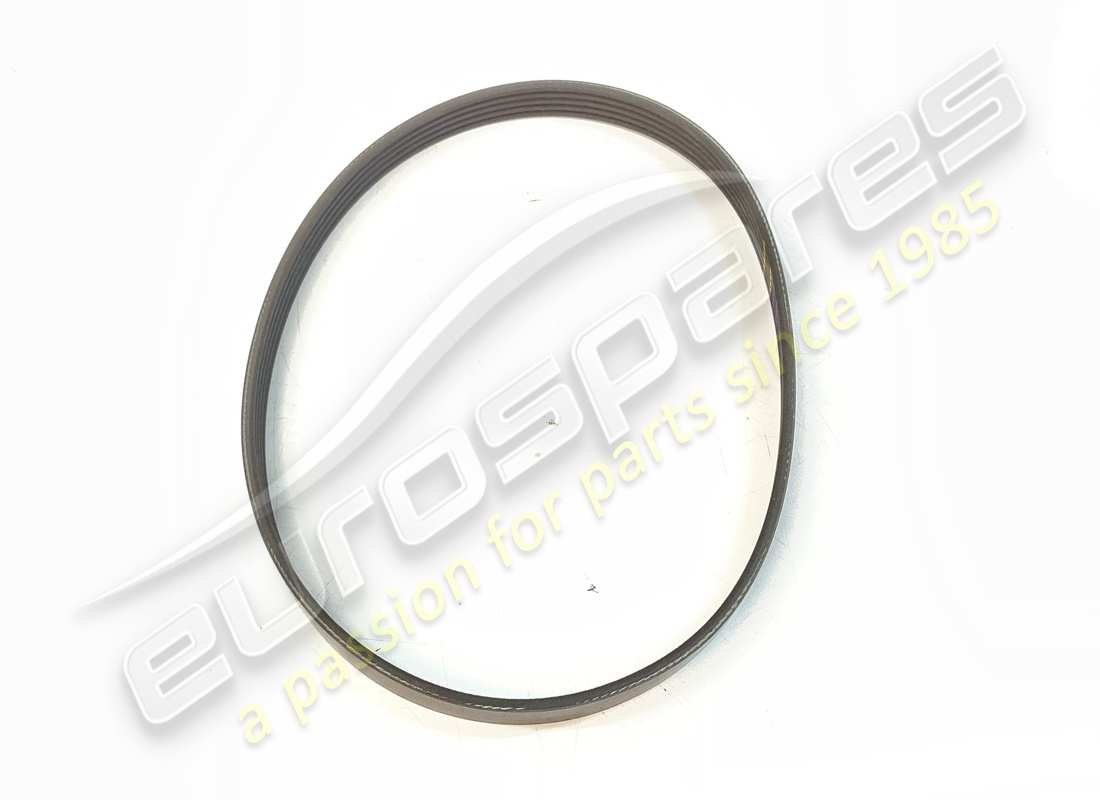 new ferrari belt. part number 332699 (1)