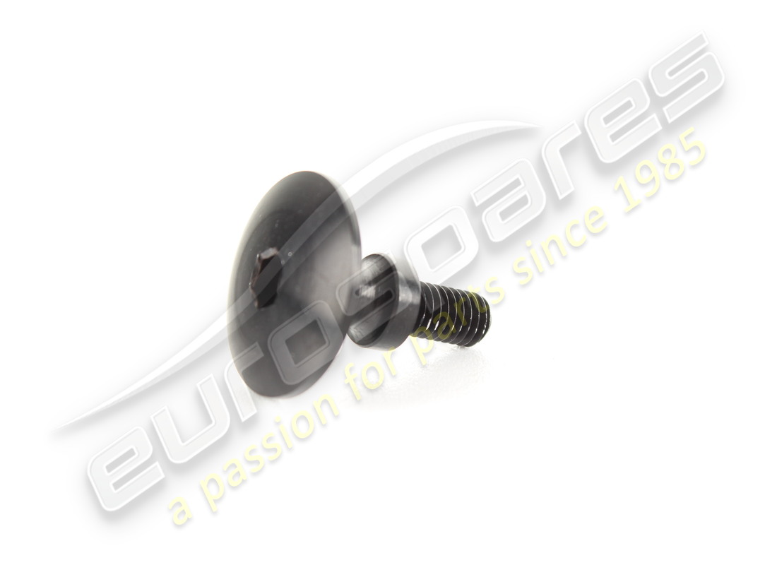 new ferrari screw. part number 67509600 (1)
