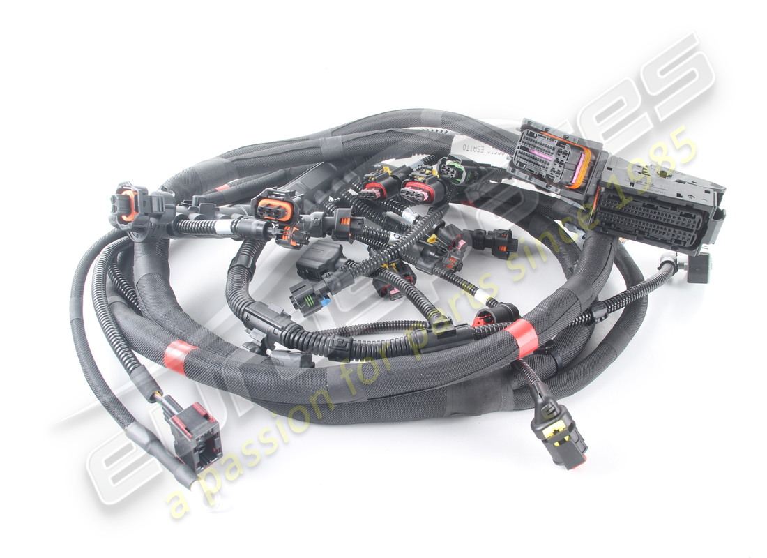 NEW FERRARI LH ENGINE INJECTION CABLE. PART NUMBER 251899 (1) new ferrari lh engine injection cable. part number 251899 (1)