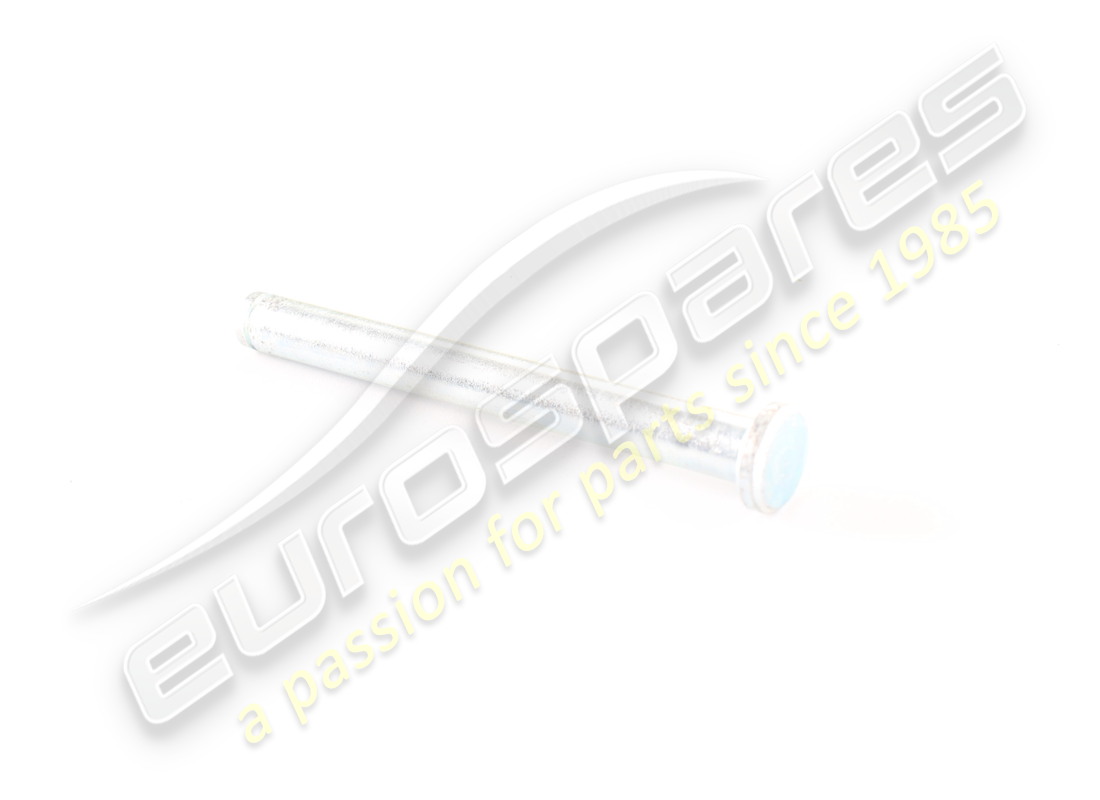 new ferrari pin for hinge. part number 64803400 (1)