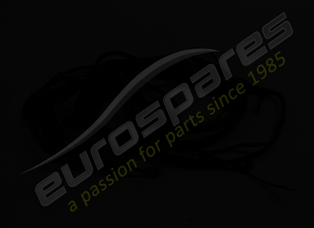 used ferrari connection cables for lh en. part number 200842 (2)