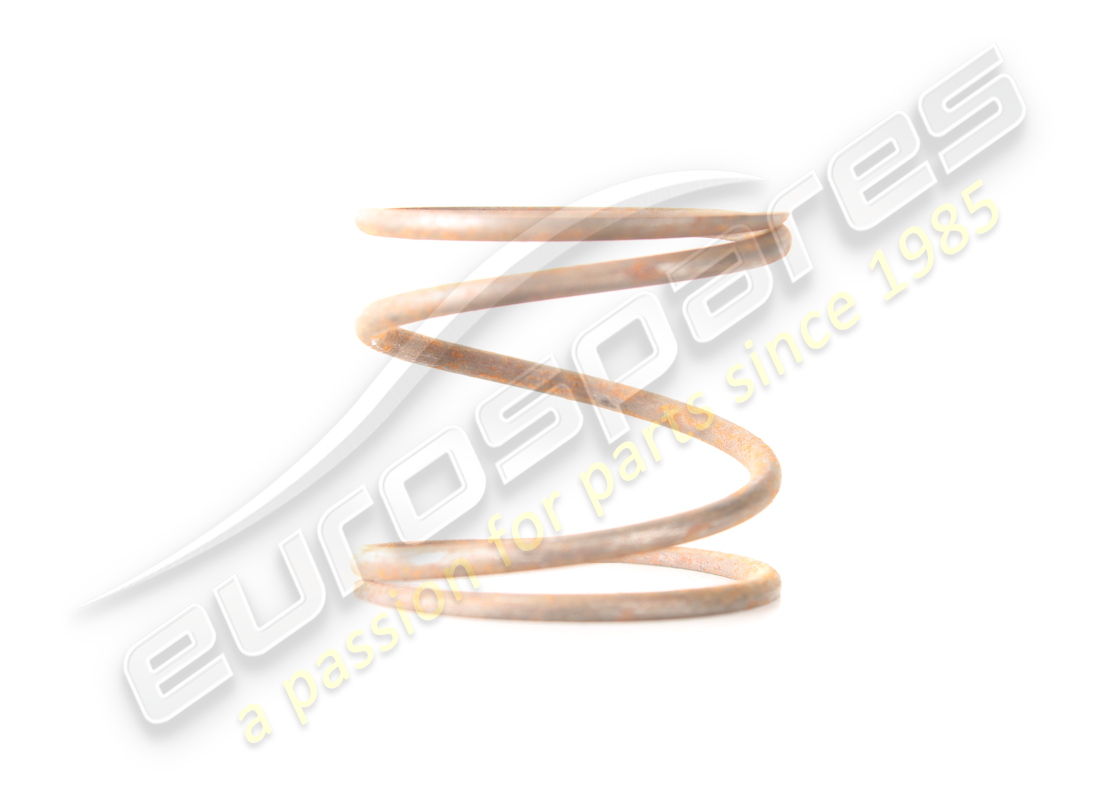 new lamborghini cartridge filter spring. part number 001500925 (1)