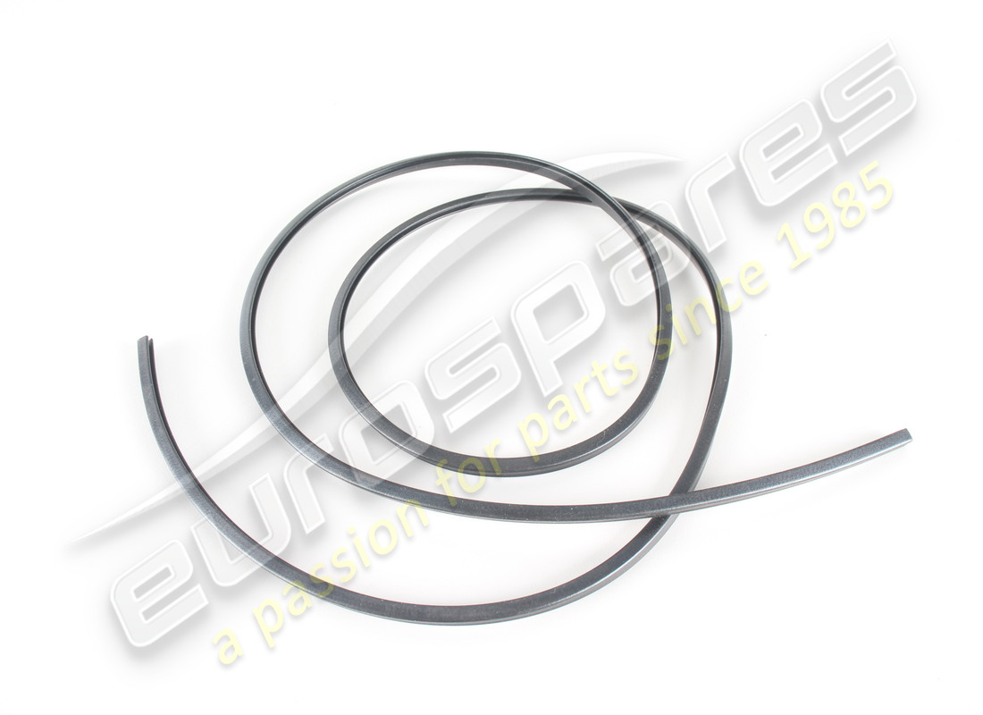 new ferrari gasket. part number 64859000 (1)
