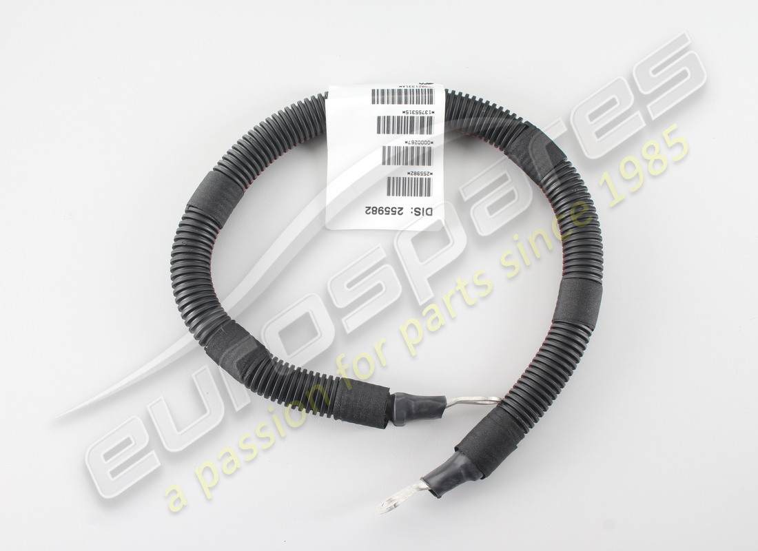 new ferrari chassis ground cable. part number 255982 (1)