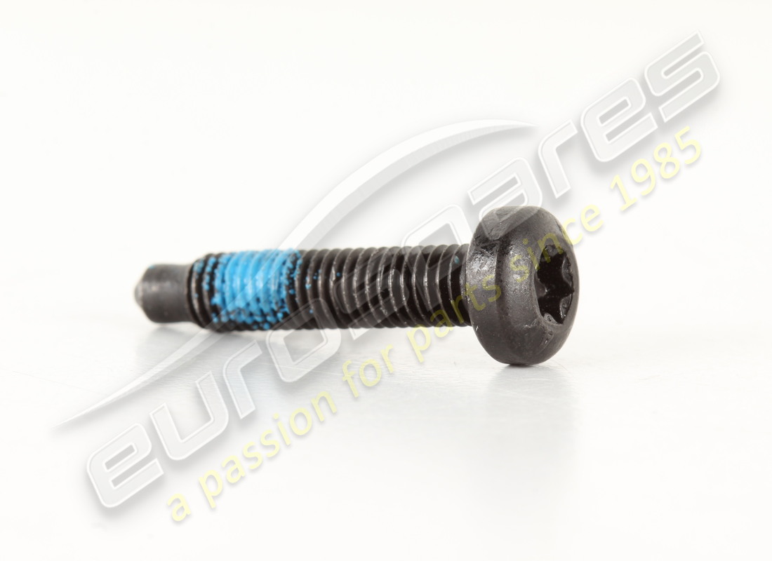 new lamborghini screw m5x25.0. part number n10596301 (1)