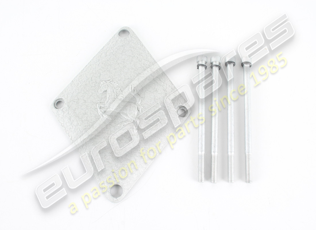 NEW FERRARI AIR INTAKE COVER. PART NUMBER 191873 (9) new ferrari air intake cover. part number 191873 (9)