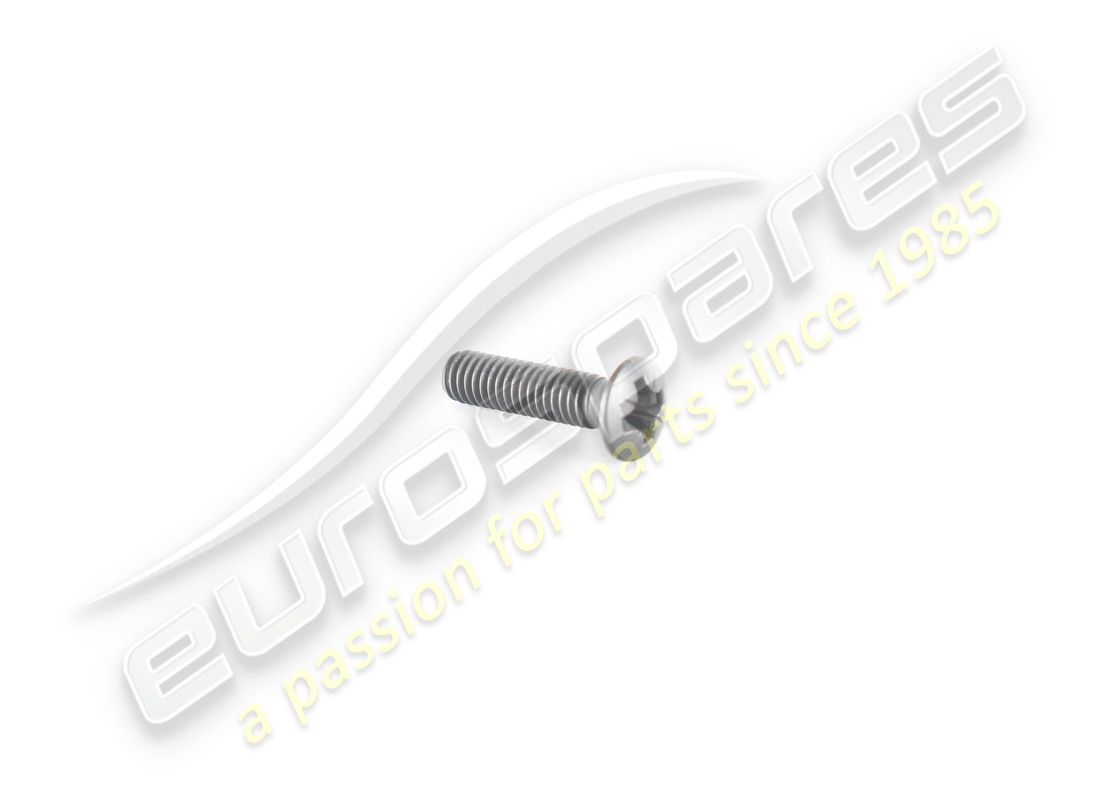 new ferrari screw. part number 13309277 (1)