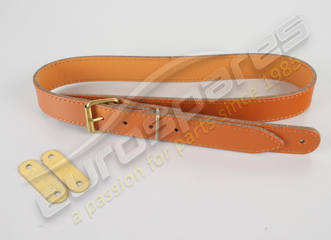 new ferrari belt. part number 63568100 (1)
