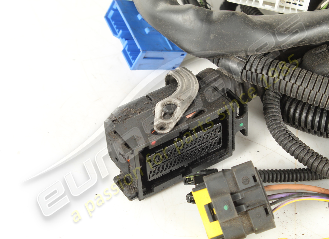 used ferrari cables. part number 184955 (2)