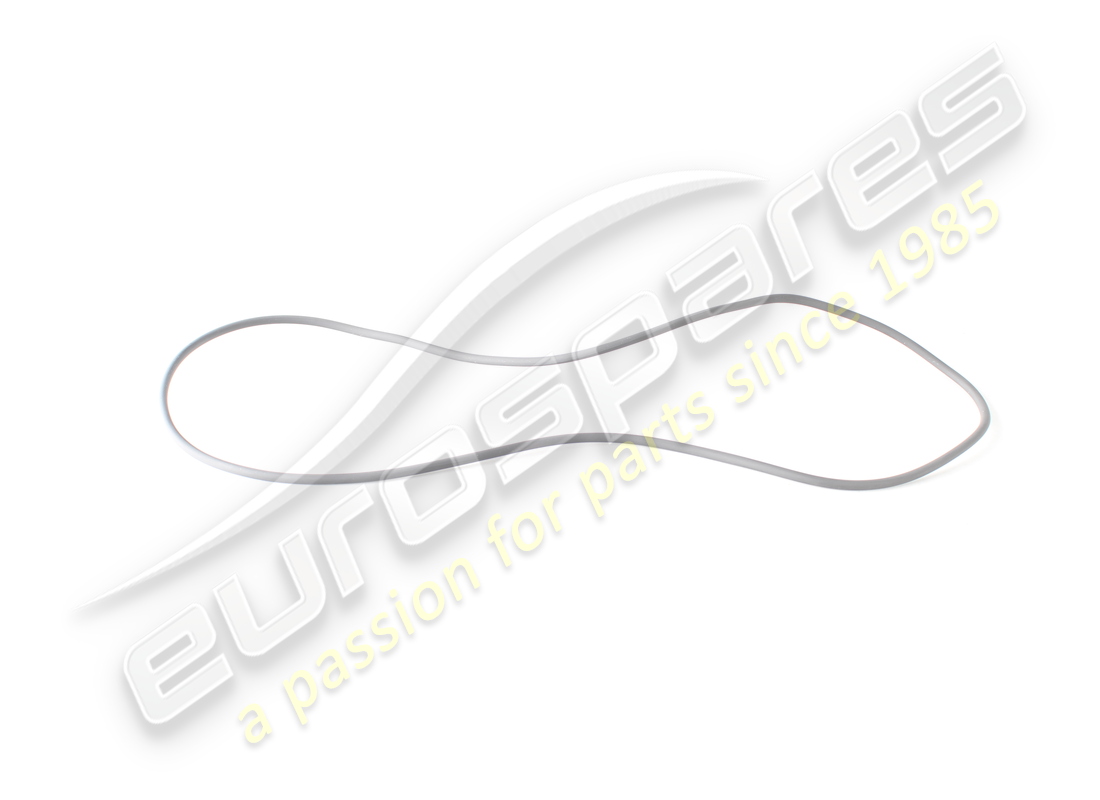 new lamborghini o-ring. part number 0bz301131a (1)