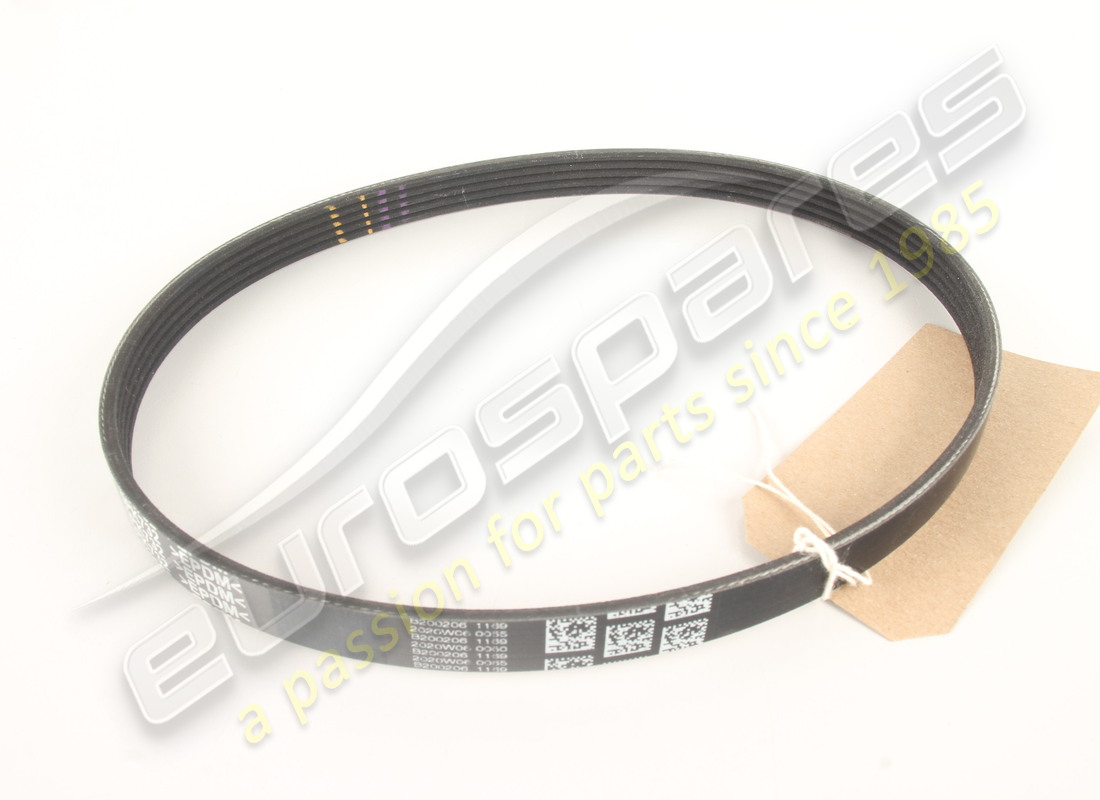 new ferrari belt. part number 332699 (1)