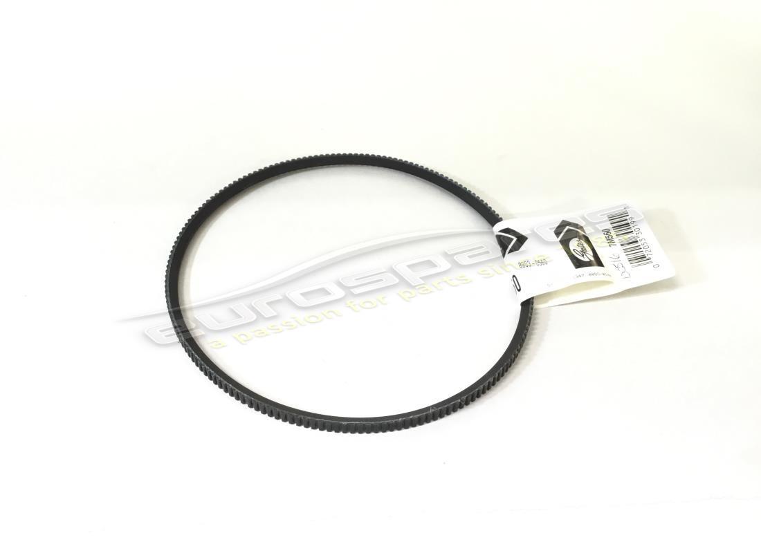 NEW Ferrari FANBELT . PART NUMBER 100516 (1)