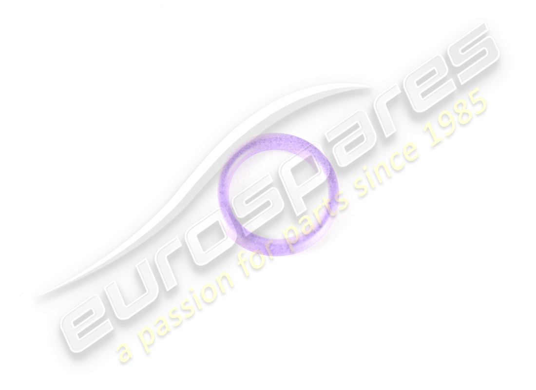 new porsche o-ring. part number 95557374902 (1)