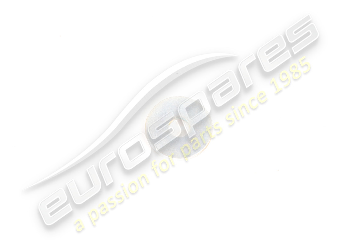 new ferrari washer. part number 68040000 (1)