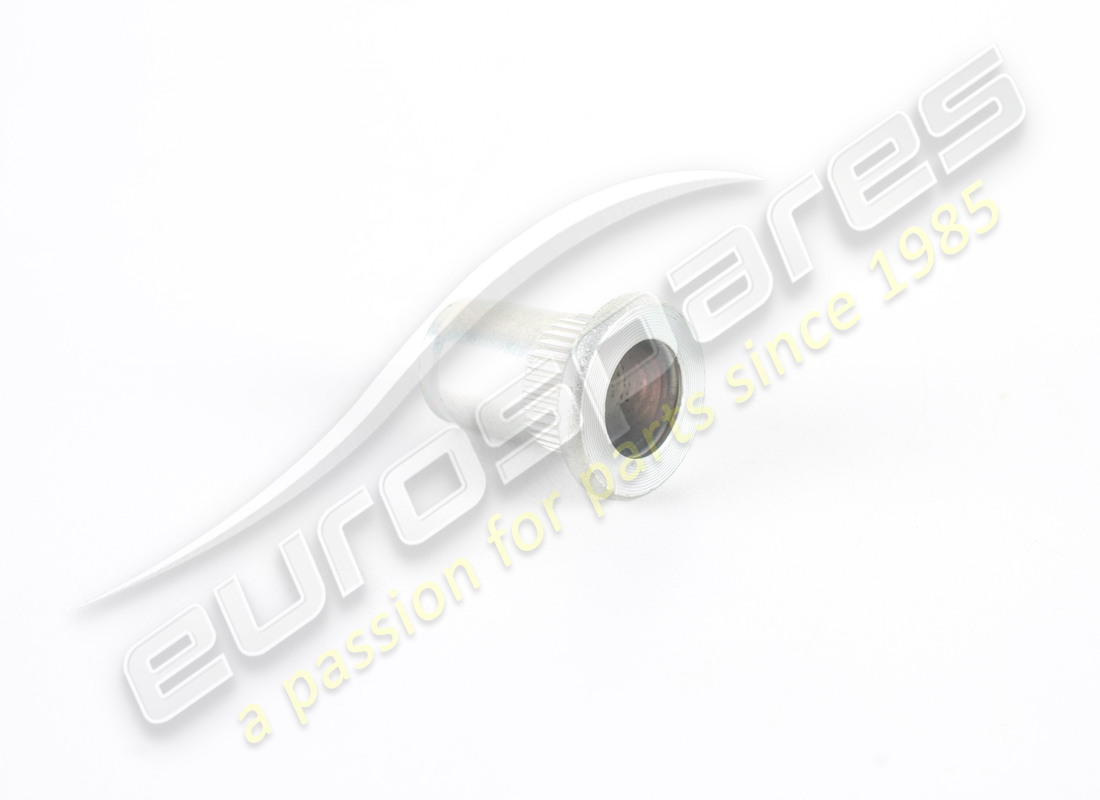 new ferrari rivet.. part number 179299 (1)