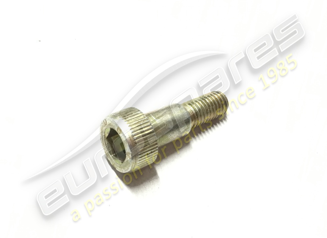 new maserati retaining screw. part number 391350577 (1)