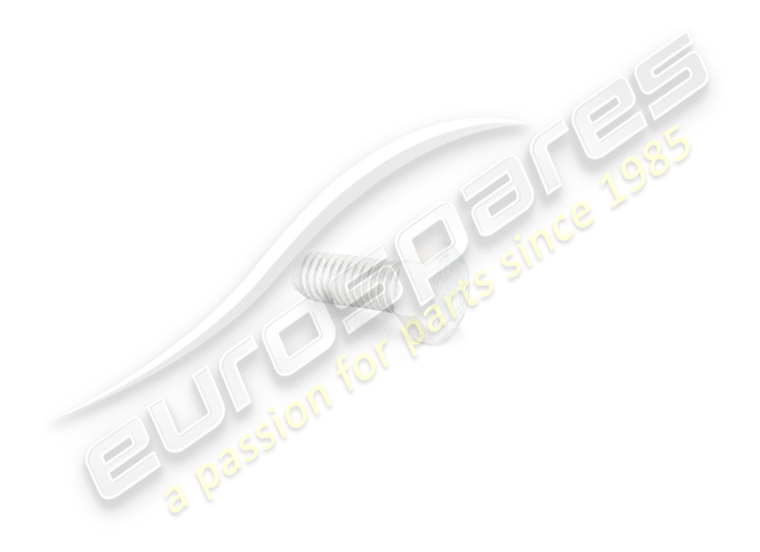 NEW Ferrari SCREW . PART NUMBER 10902224 (1)