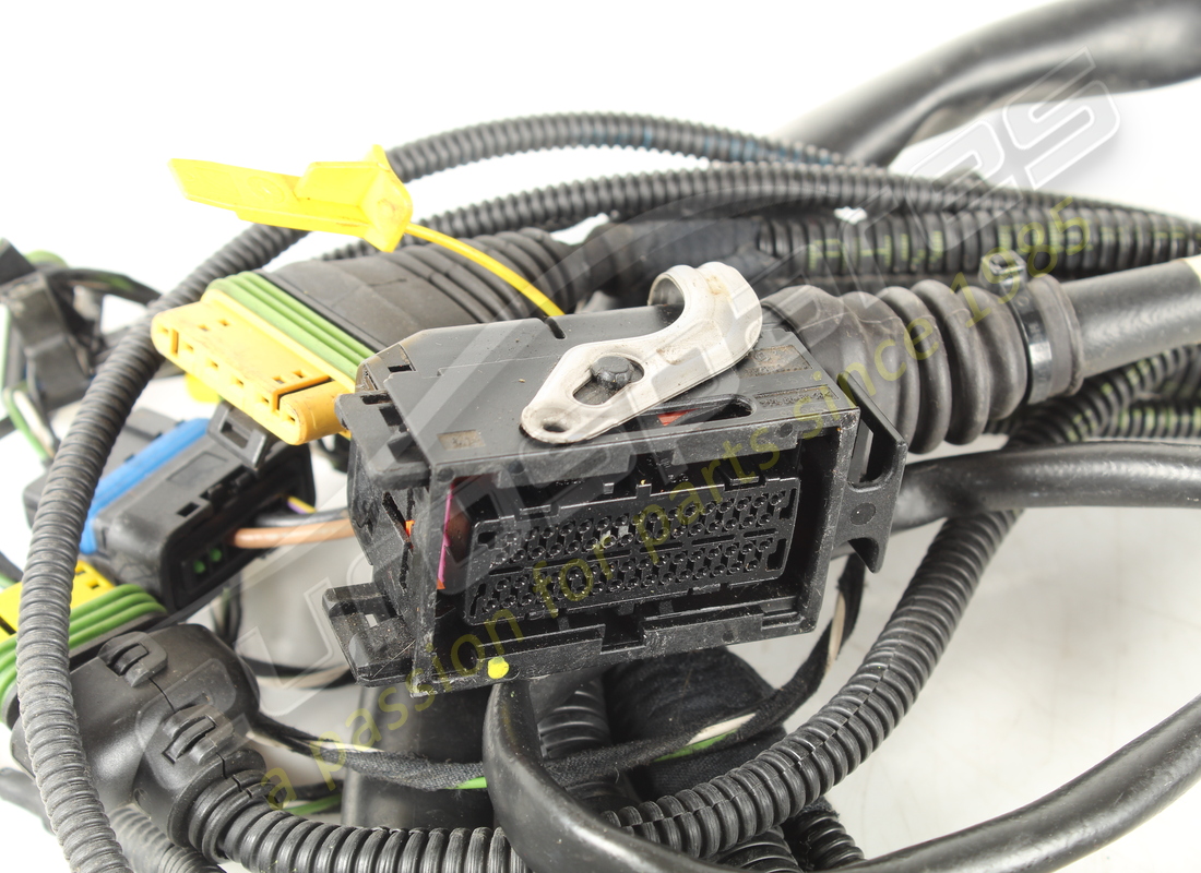 used ferrari cables. part number 184955 (3)