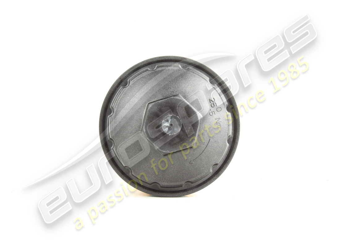 new maserati oil filter cartridge. part number 670052849 (3)