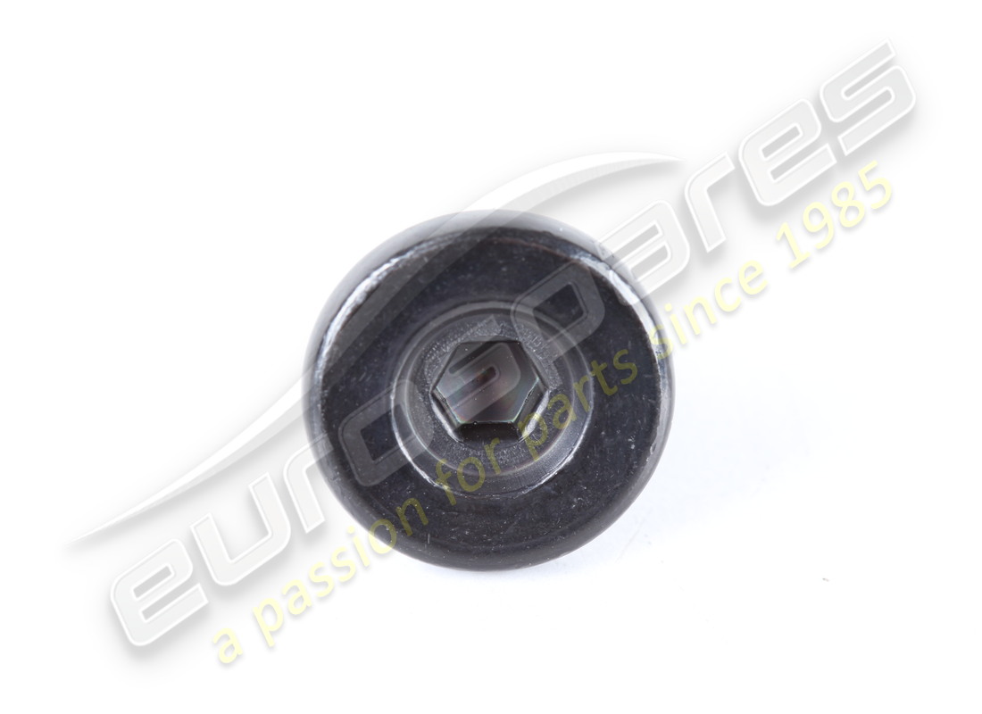 NEW FERRARI SCREW. PART NUMBER 88164800 (2) new ferrari screw. part number 88164800 (2)