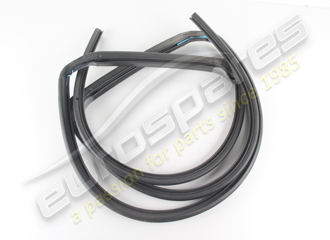 NEW Ferrari REAR ROOF/DOOR RUBBER GTS . PART NUMBER 64338900 (1)