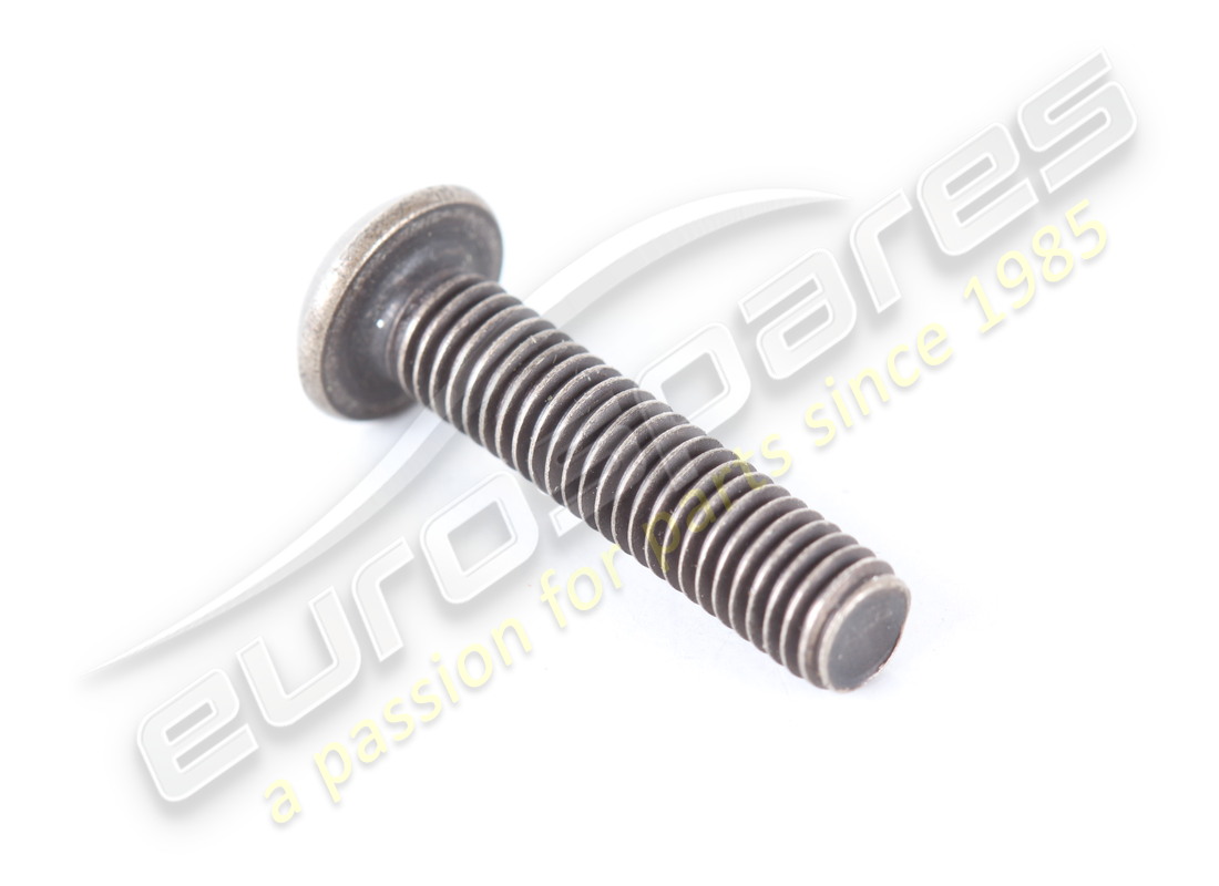 new maserati pan head screw m5x0.8x22. part number 191016 (1)