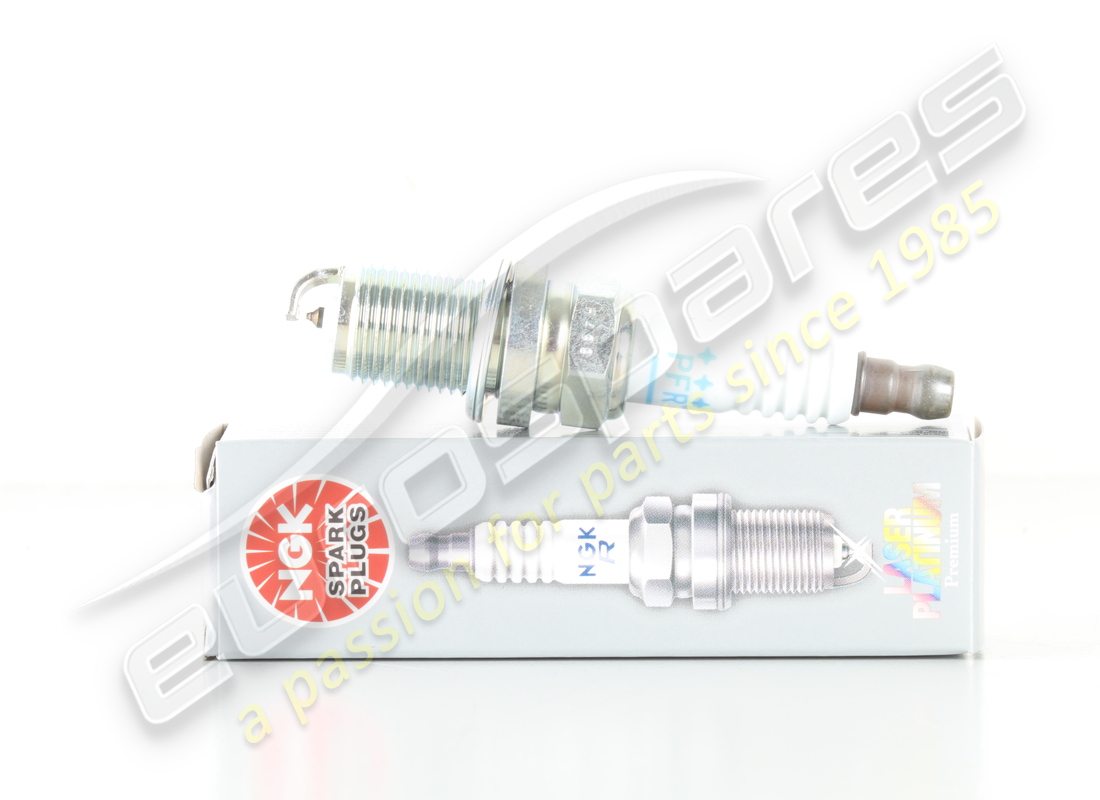 new ngk spark plug. part number 400905619 (1)