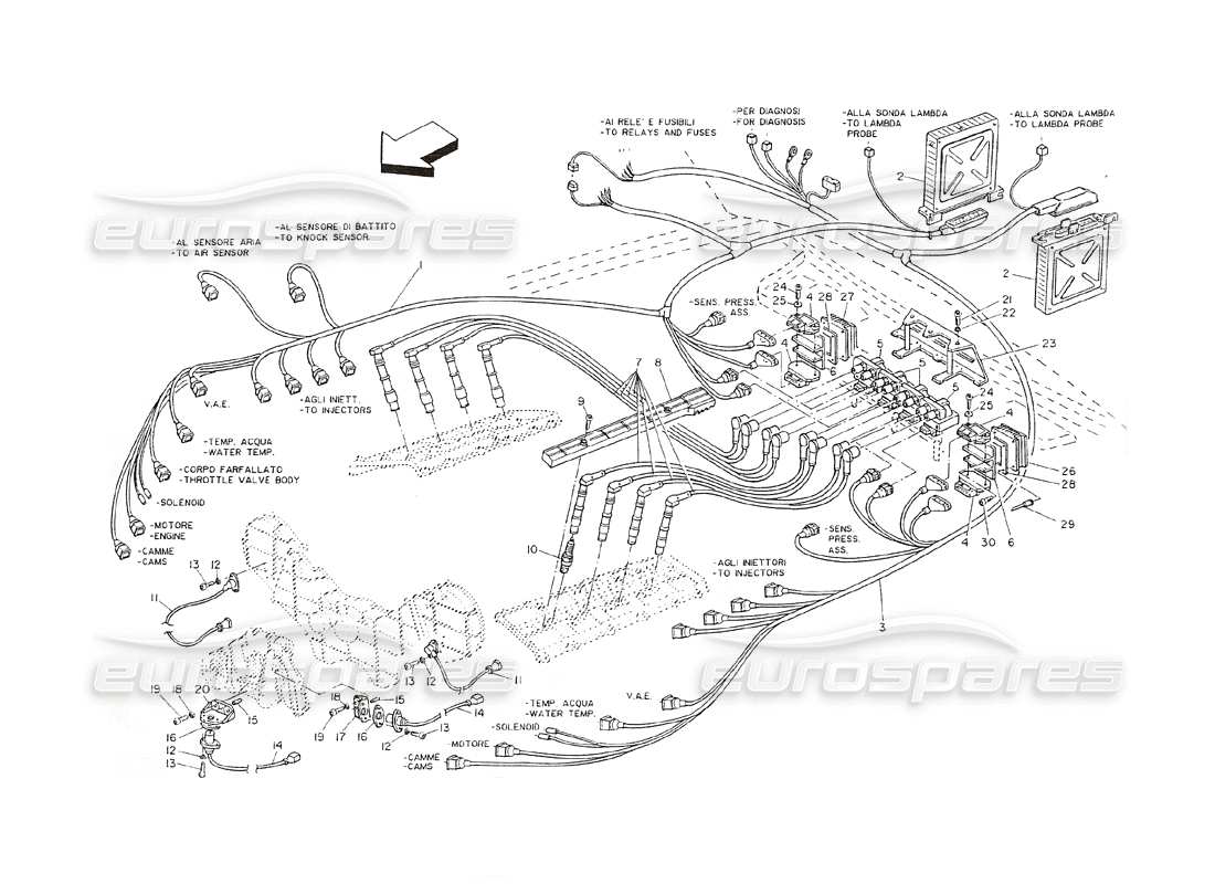 maserati shamal ignition and timing system parts diagram