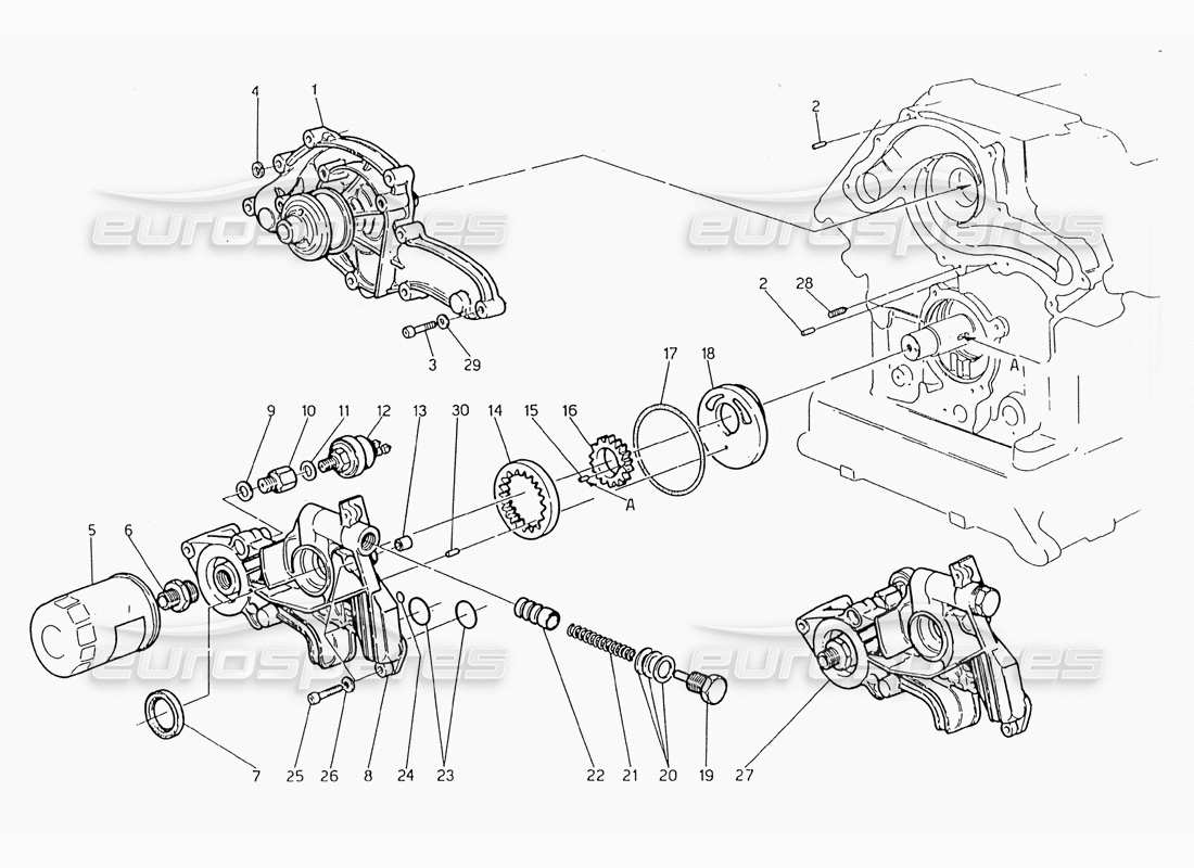 maserati 228 water pump - oil pump part diagram