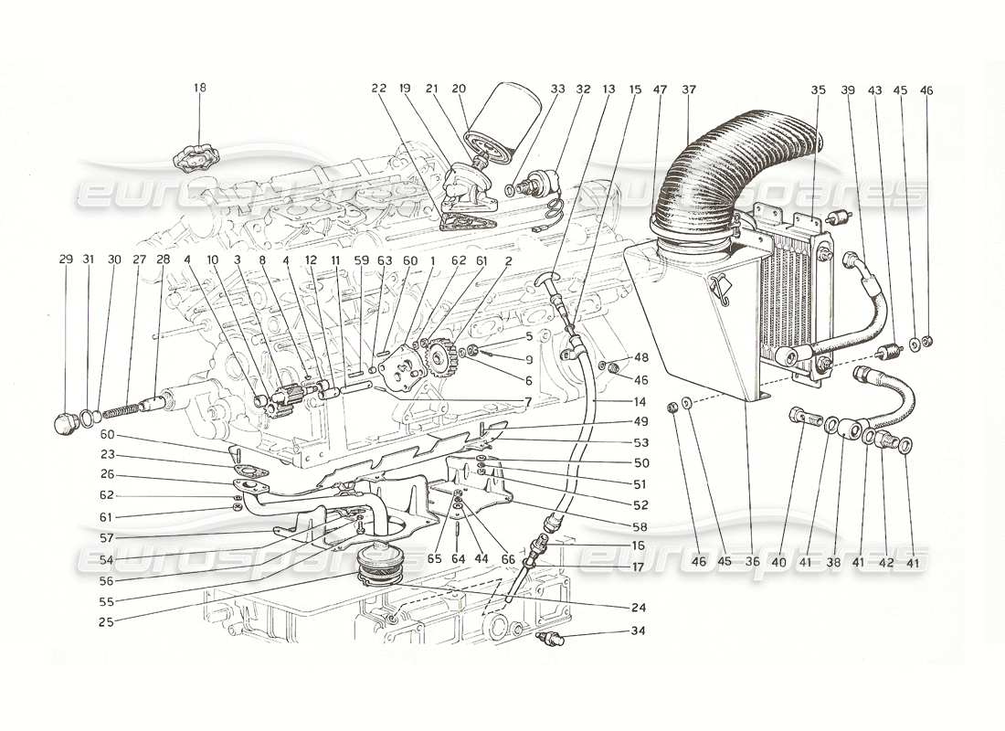 ferrari 308 gt4 dino (1976) lubrication system part diagram
