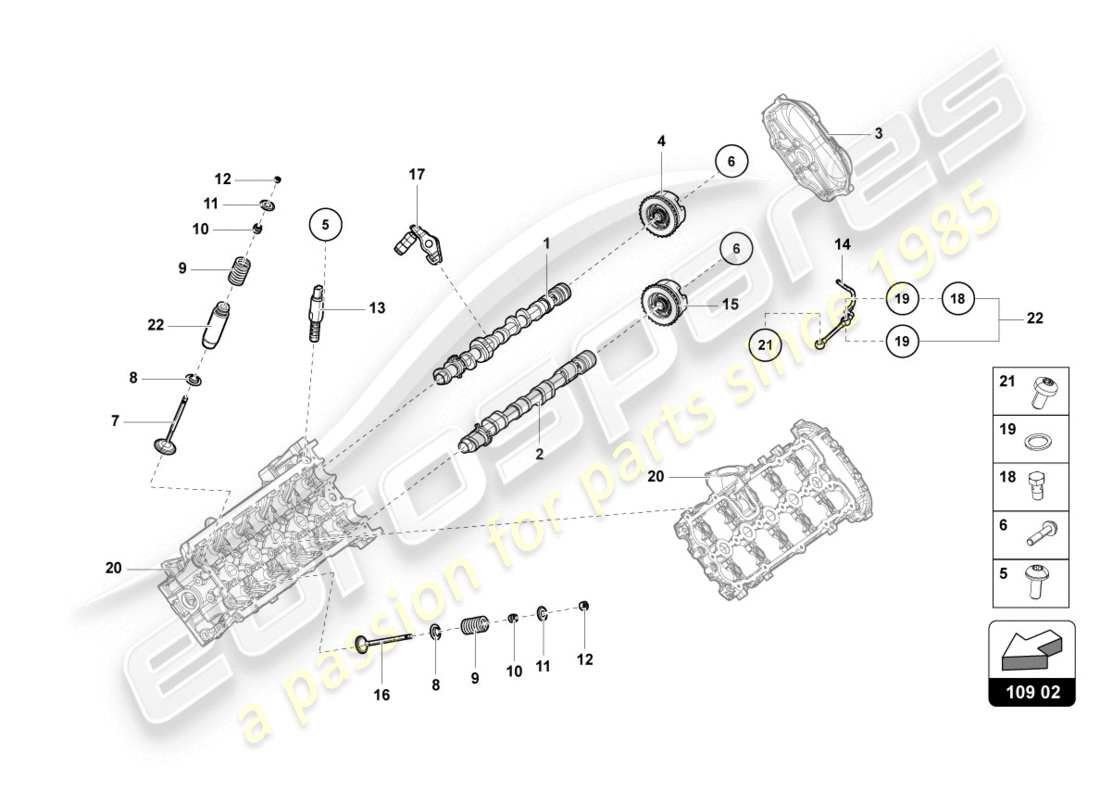 lamborghini evo spyder (2020) camshaft, valves parts diagram