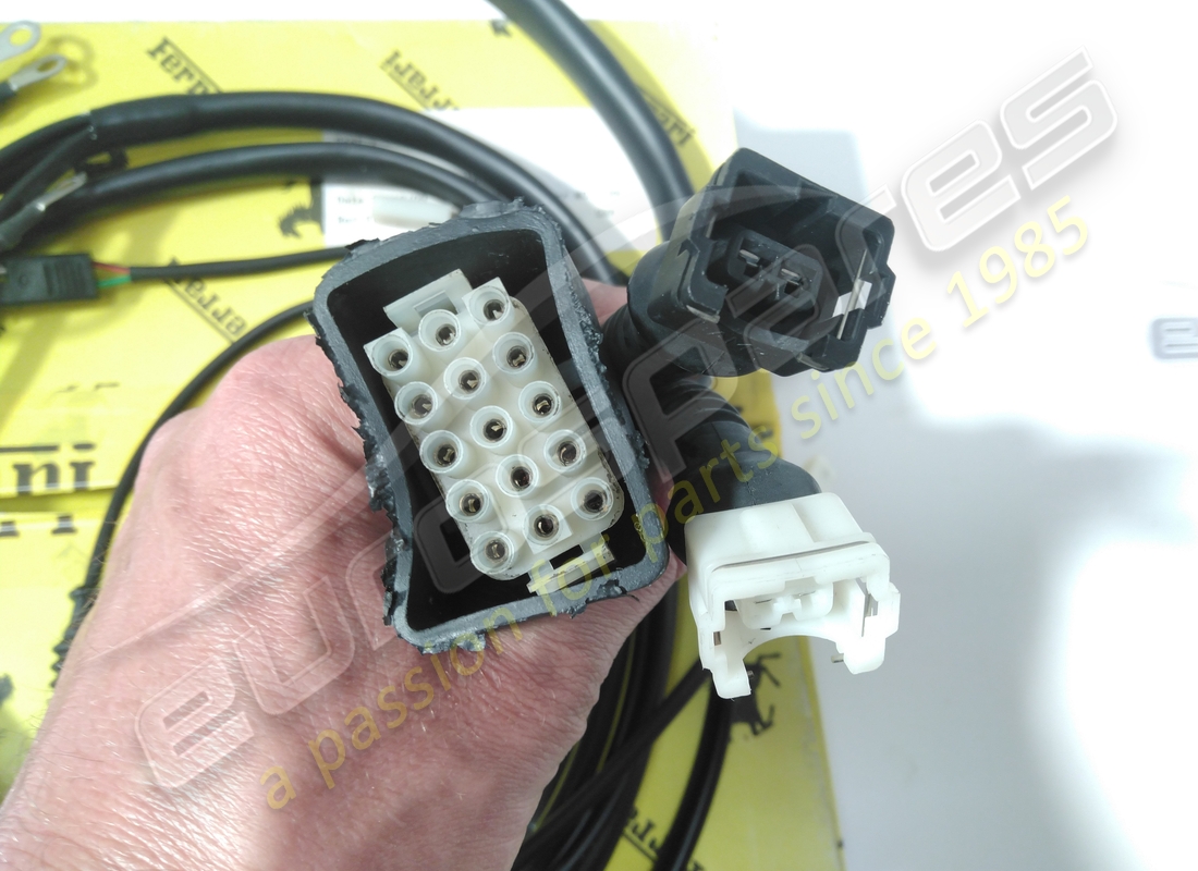 new (other) ferrari engine cables. part number 123670 (3)